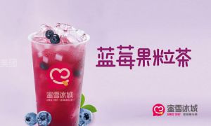 河南蜜雪冰城加盟前景，河南蜜雪冰城加盟费多少？