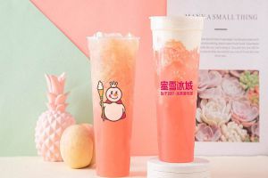 2019年选择蜜雪冰城加盟的条件是什么？
